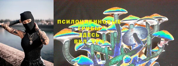 jwh Алзамай