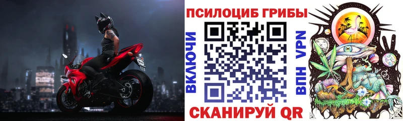 Псилоцибиновые грибы Magic Shrooms  Бакал 